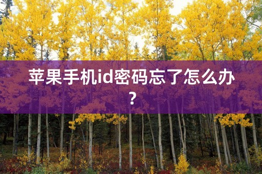 苹果手机id密码忘了怎么办？