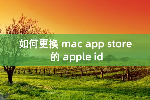 如何更换 mac app store 的 apple id