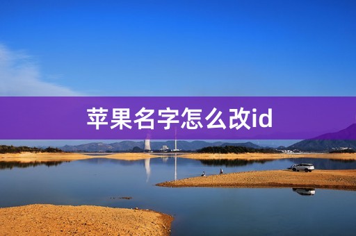 苹果名字怎么改id