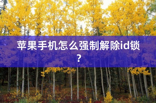 苹果手机怎么强制解除id锁？