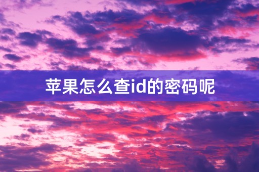 苹果怎么查id的密码呢