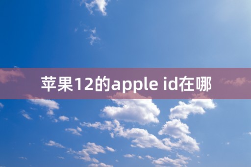 苹果12的apple id在哪