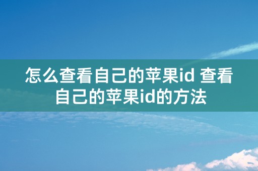 怎么查看自己的苹果id 查看自己的苹果id的方法