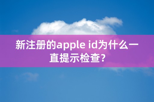 新注册的apple id为什么一直提示检查？