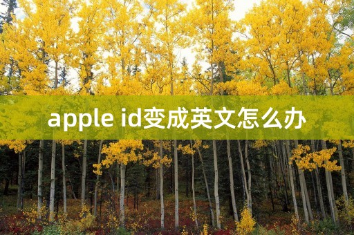 apple id变成英文怎么办