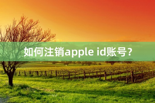 如何注销apple id账号？