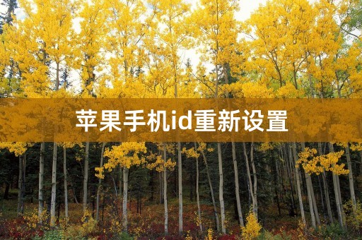 苹果手机id重新设置