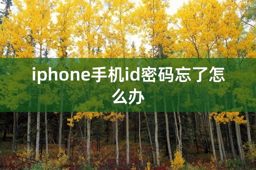 iphone手机id密码忘了怎么办