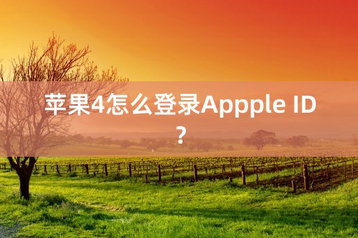 苹果4怎么登录Appple ID？