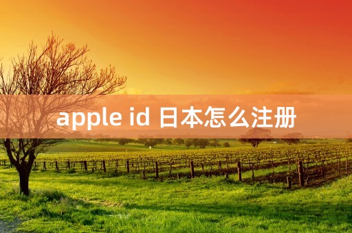 apple id 日本怎么注册