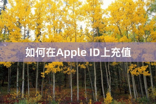 如何在Apple ID上充值