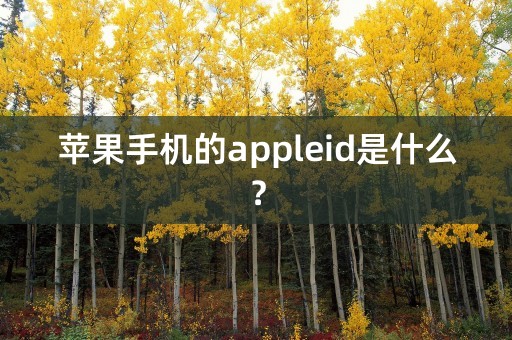 苹果手机的appleid是什么？