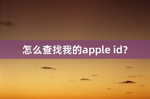 怎么查找我的apple id？