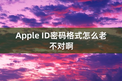 Apple ID密码格式怎么老不对啊