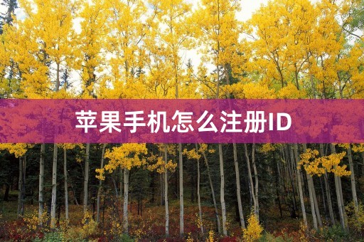 苹果手机怎么注册ID