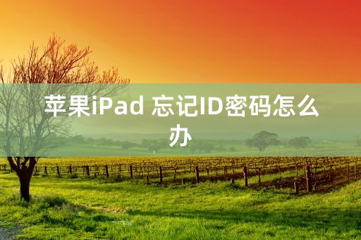 苹果iPad 忘记ID密码怎么办