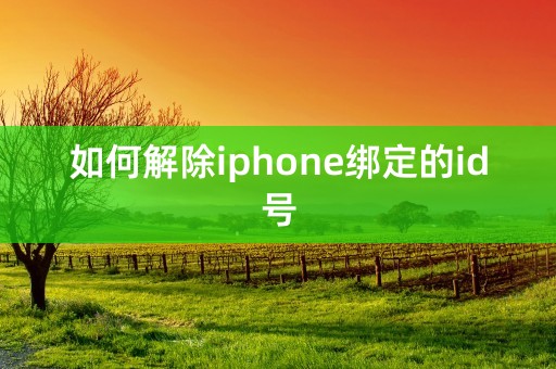 如何解除iphone绑定的id号