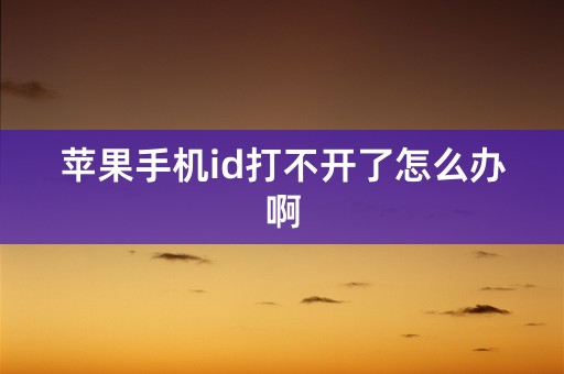 苹果手机id打不开了怎么办啊