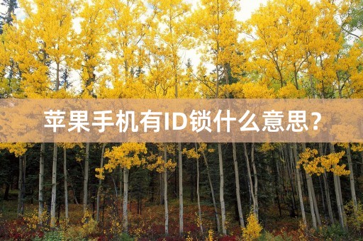 苹果手机有ID锁什么意思？