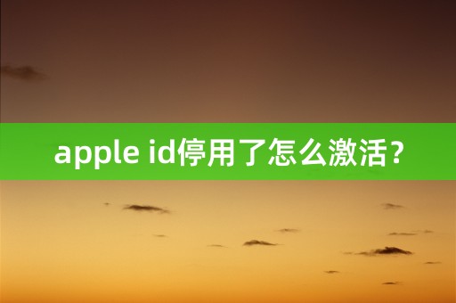 apple id停用了怎么激活？