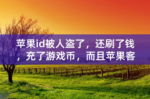 苹果id被人盗了，还刷了钱，充了游戏币，而且苹果客服说退不了，还有什么办法可以处理的嘛？