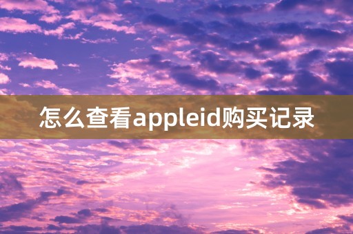 怎么查看appleid购买记录