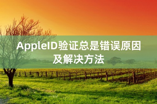 AppleID验证总是错误原因及解决方法