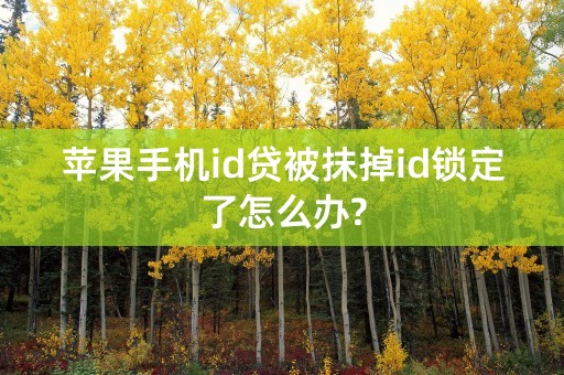 苹果手机id贷被抹掉id锁定了怎么办?