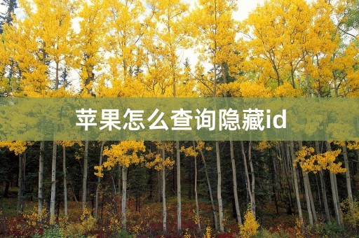 苹果怎么查询隐藏id