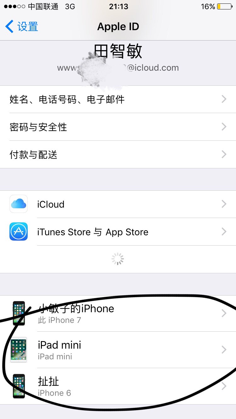 iphone手机 Apple ID用户名和密码是什么，在哪里看？