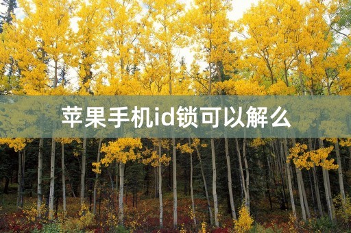 苹果手机id锁可以解么