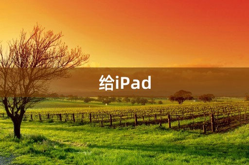 给iPad