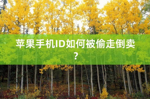 苹果手机ID如何被偷走倒卖？