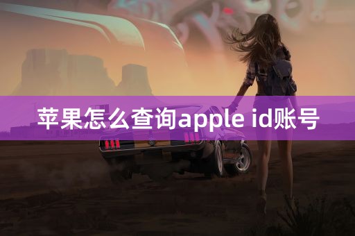 苹果怎么查询apple id账号