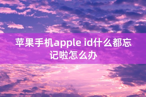 苹果手机apple id什么都忘记啦怎么办