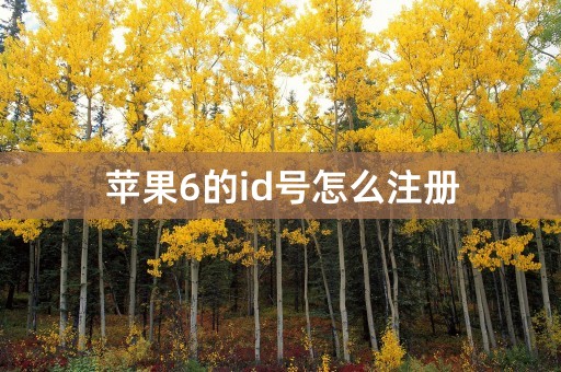 苹果6的id号怎么注册