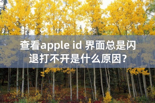 查看apple id 界面总是闪退打不开是什么原因？