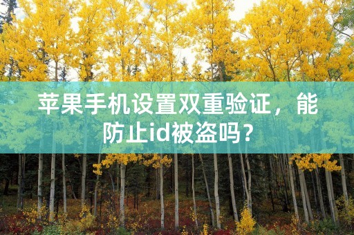 苹果手机设置双重验证，能防止id被盗吗？