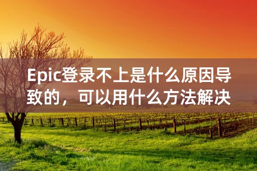 Epic登录不上是什么原因导致的，可以用什么方法解决？