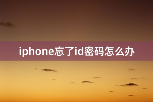 iphone忘了id密码怎么办