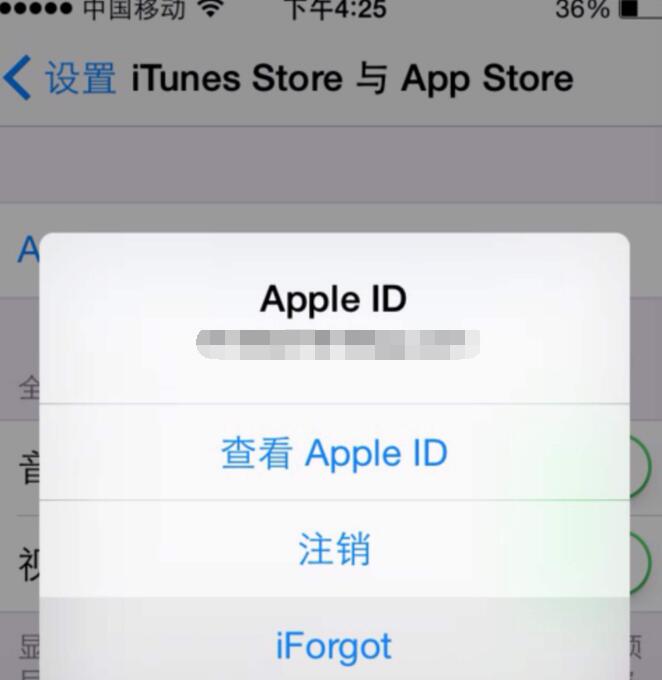 如何查询自己apple ID 是否欠费？ 如果欠费余额显示负数还是0？