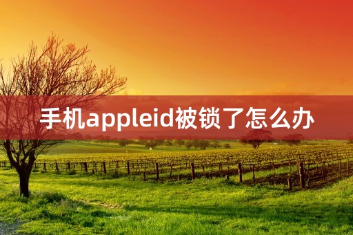 手机appleid被锁了怎么办