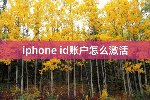 iphone id账户怎么激活