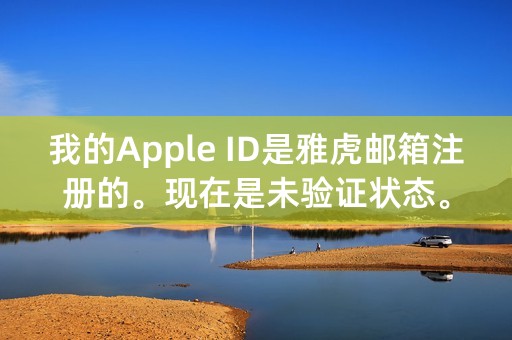 我的Apple ID是雅虎邮箱注册的。现在是未验证状态。雅虎邮箱停用无法验证ID，ID也无法激活手机激活锁。