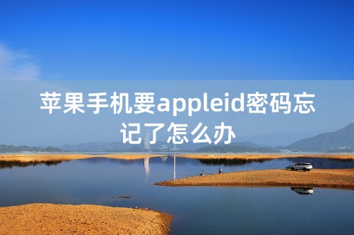 苹果手机要appleid密码忘记了怎么办