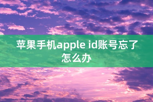 苹果手机apple id账号忘了怎么办