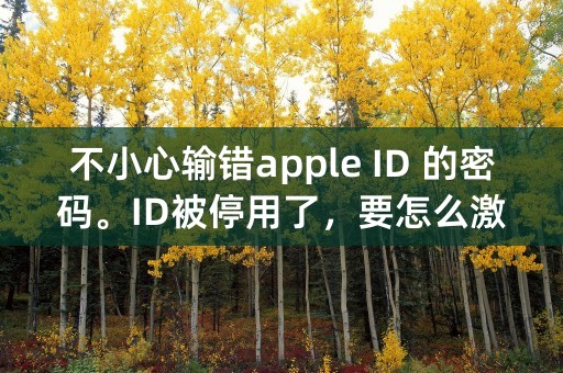 不小心输错apple ID 的密码。ID被停用了，要怎么激活？