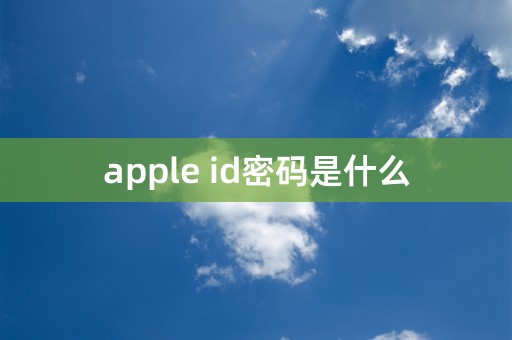 apple id密码是什么