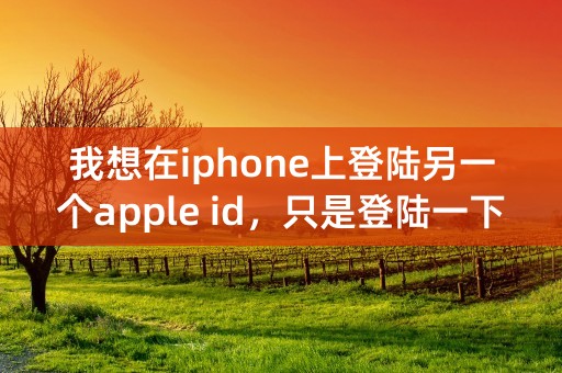 我想在iphone上登陆另一个apple id，只是登陆一下，事后要换回原来的id，怎么弄?