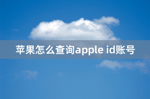 苹果怎么查询apple id账号